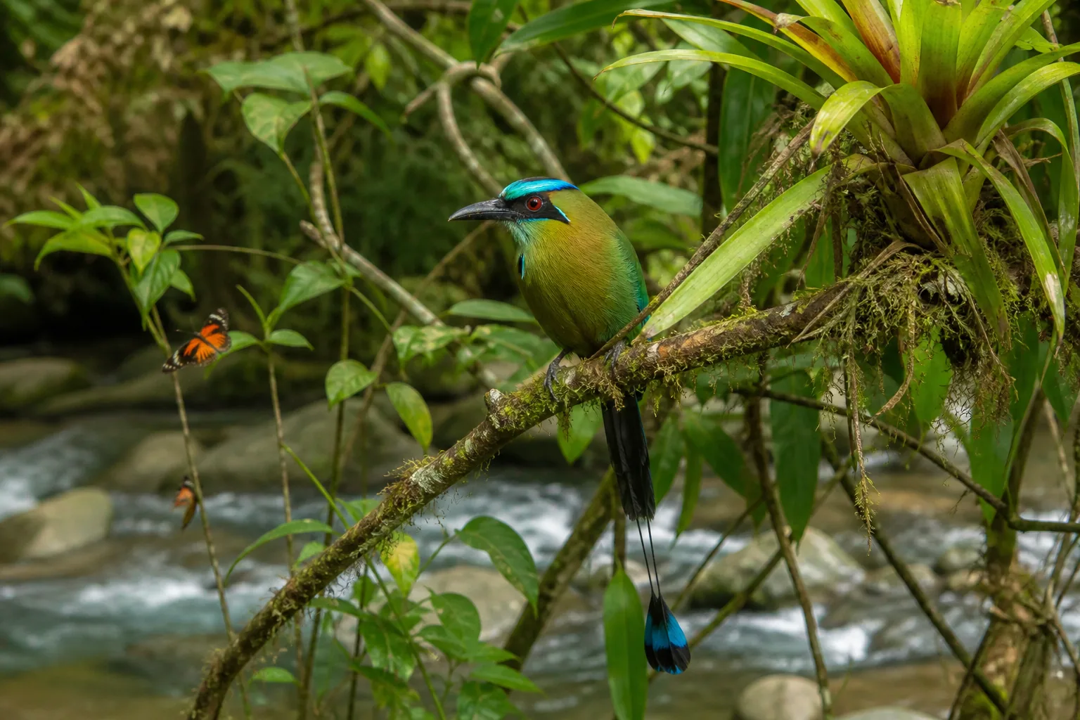 Estudios de biodiversidad, flora y fauna para proyectos en Antioquia